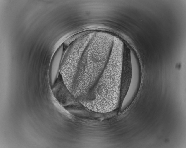X0000115371330200911241231