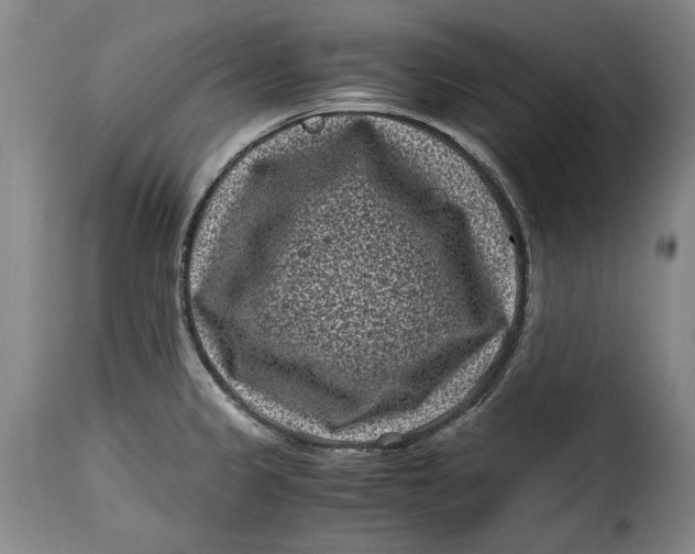 X0000115371333200911241231