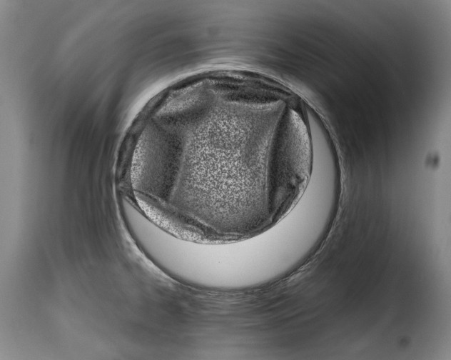 X0000115371334200911241231