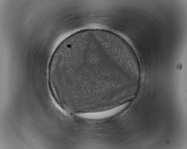 X0000115371335200911241231