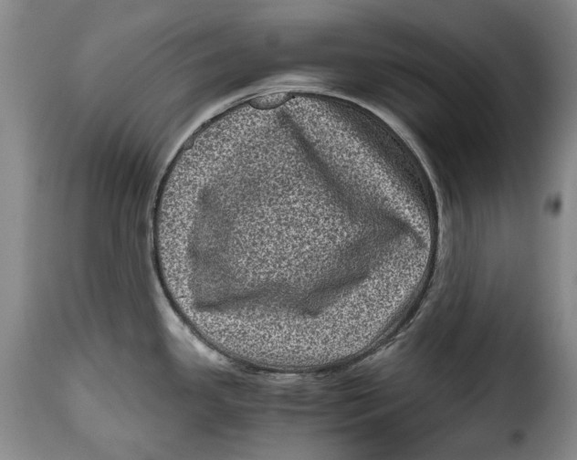 X0000115371341200911241231