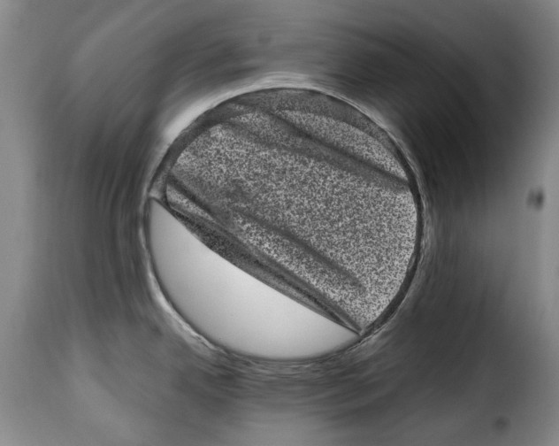 X0000115371342200911241231
