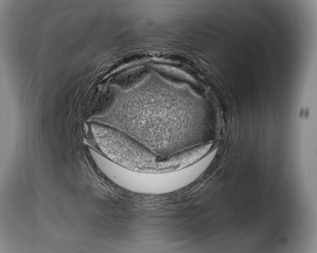X0000115371345200911241231