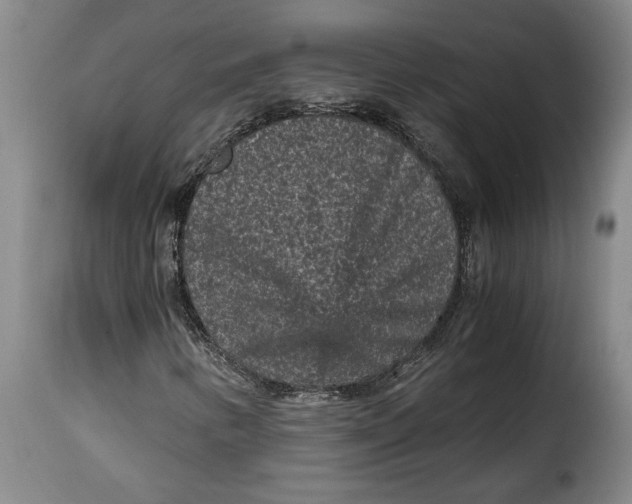 X0000115371346200911241231