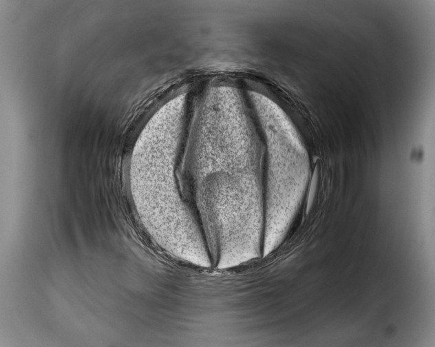 X0000115371348200911241231
