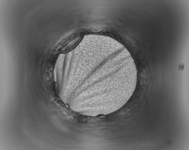 X0000115371349200911241231