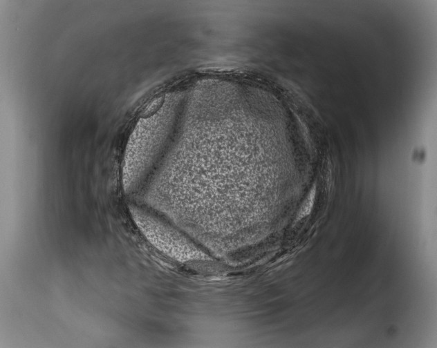 X0000115371350200911241231