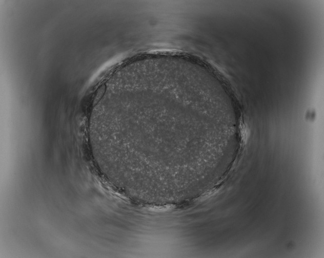 X0000115371351200911241231