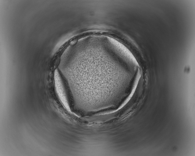 X0000115371352200911241231