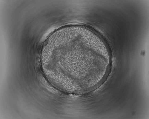 X0000115371355200911241231