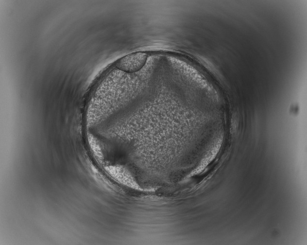 X0000115371356200911241231