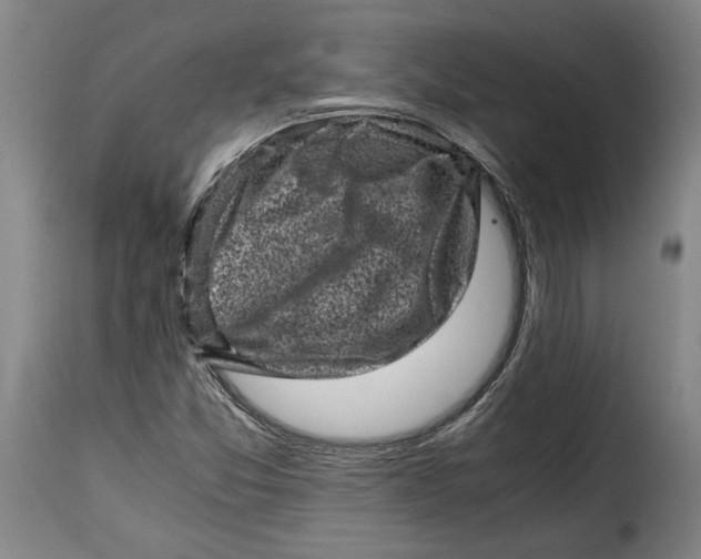 X0000115371357200911241231