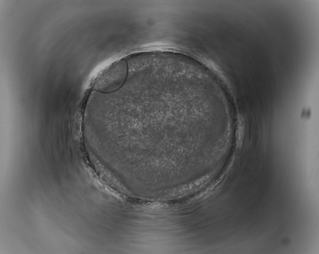 X0000115371358200911241231
