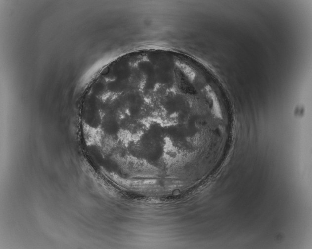 X0000115371359200911241230