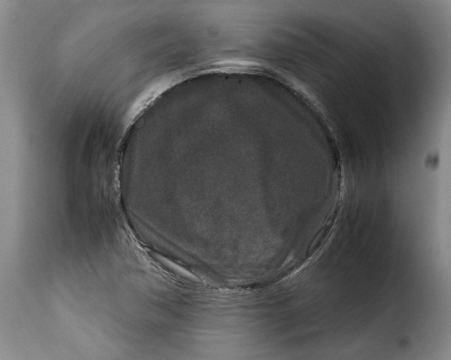 X0000115371362200911241230
