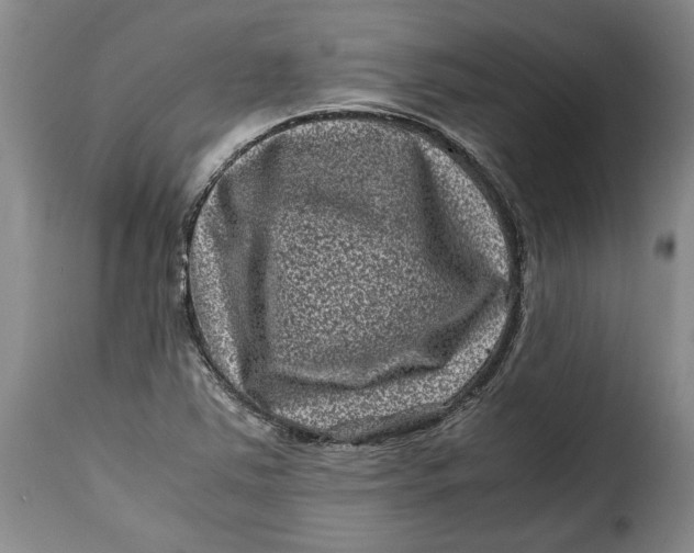 X0000115371363200911241230