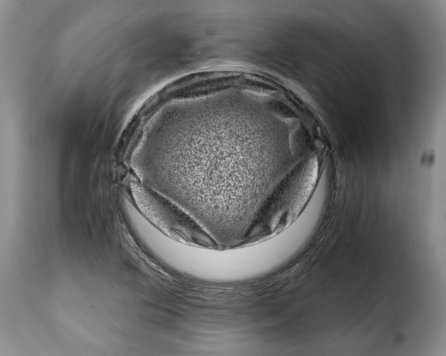 X0000115371364200911241230