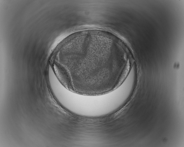 X0000115371365200911241230