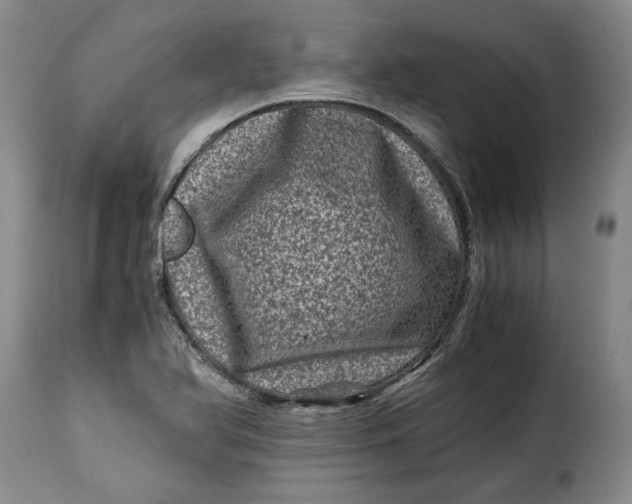 X0000115371366200911241230