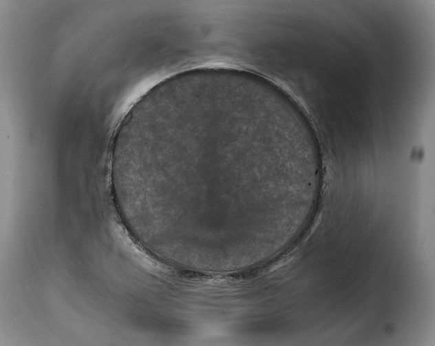 X0000115371367200911241230