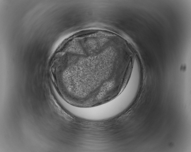 X0000115371368200911241230