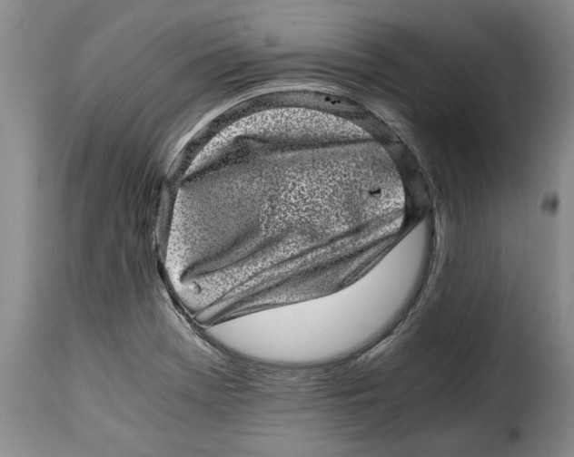 X0000115371369200911241230