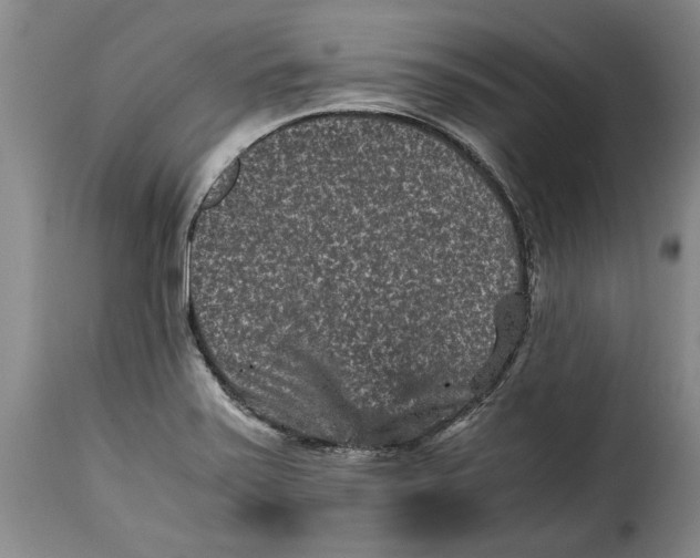 X0000115371371200911241230