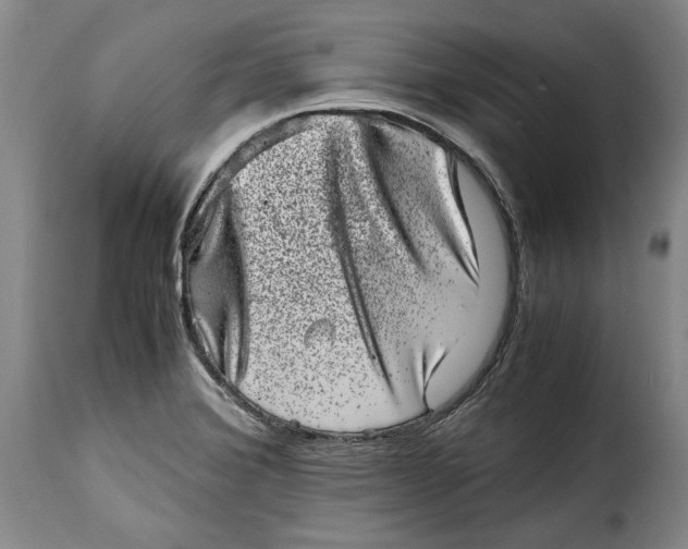 X0000115371372200911241230