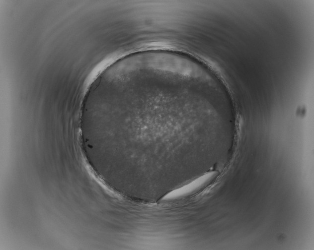 X0000115371373200911241230