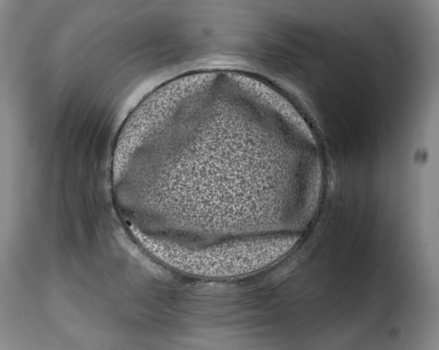 X0000115371374200911241230