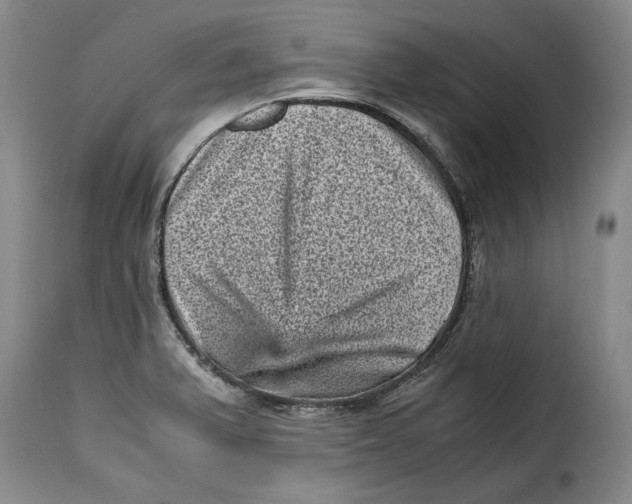 X0000115371375200911241230