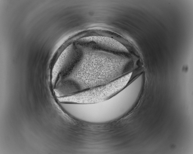 X0000115371376200911241230