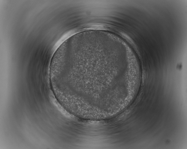 X0000115371378200911241230