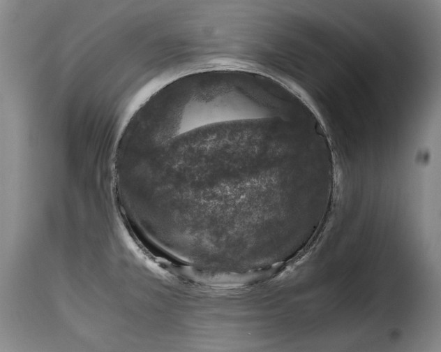 X0000115371381200911241230