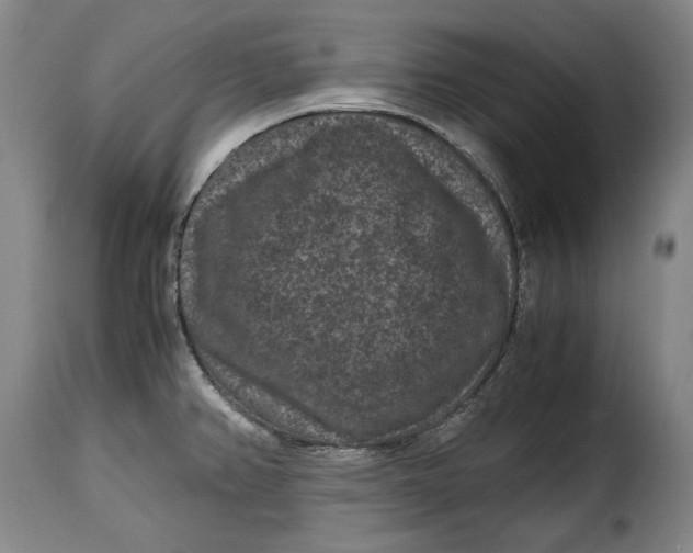 X0000115371382200911241230