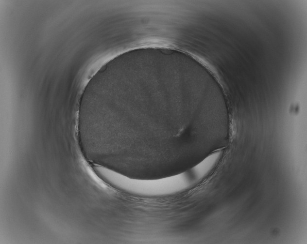 X0000115371383200911241230