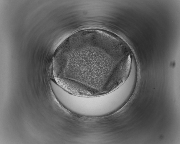 X0000115371385200911241230