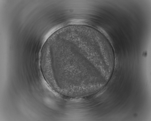 X0000115371386200911241230