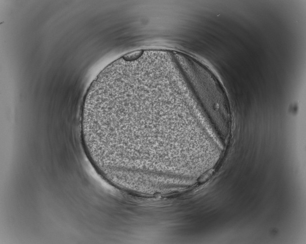 X0000115371387200911241230