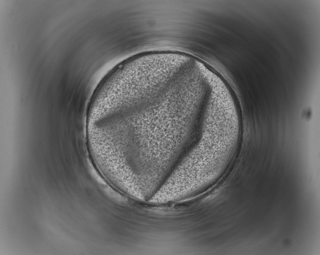 X0000115371388200911241230