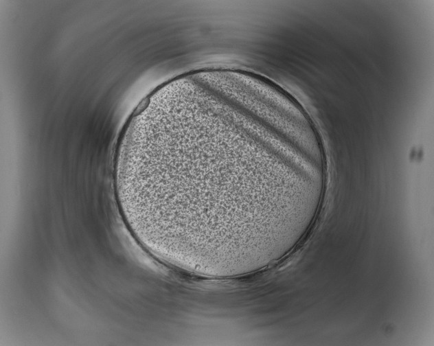 X0000115371392200911241230