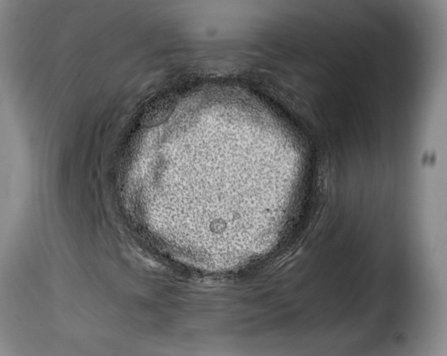 X0000115371393200911241229