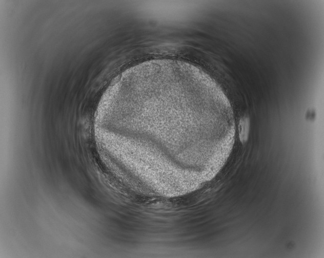 X0000115371395200911241229