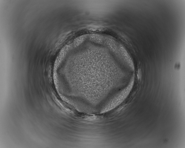 X0000115371396200911241229