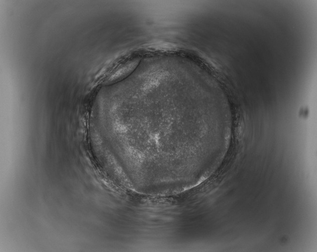 X0000115371397200911241229