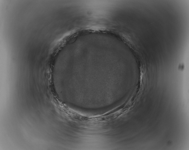 X0000115371398200911241229