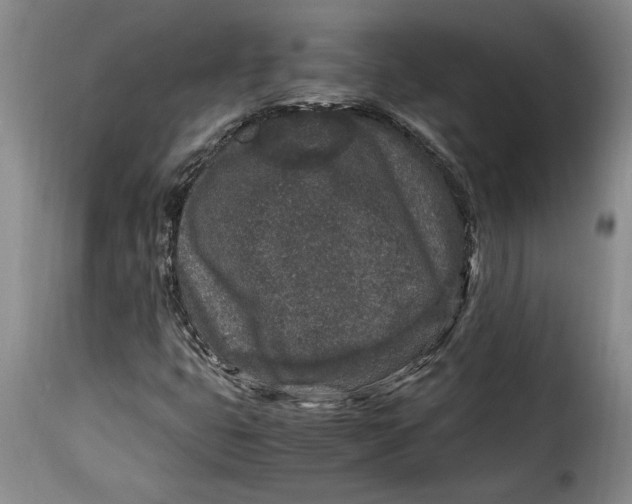 X0000115371399200911241229