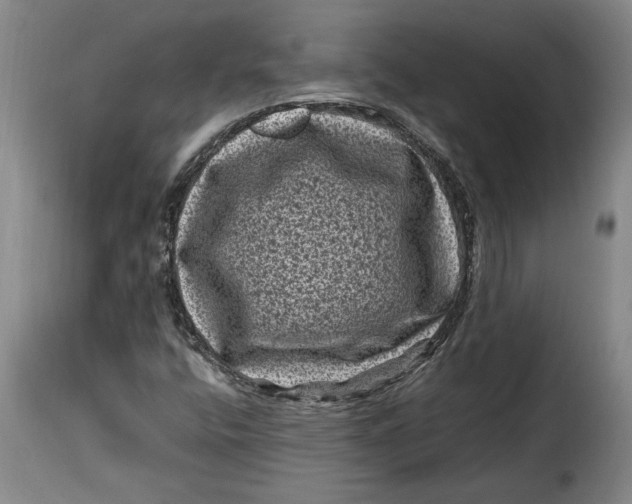 X0000115371400200911241229