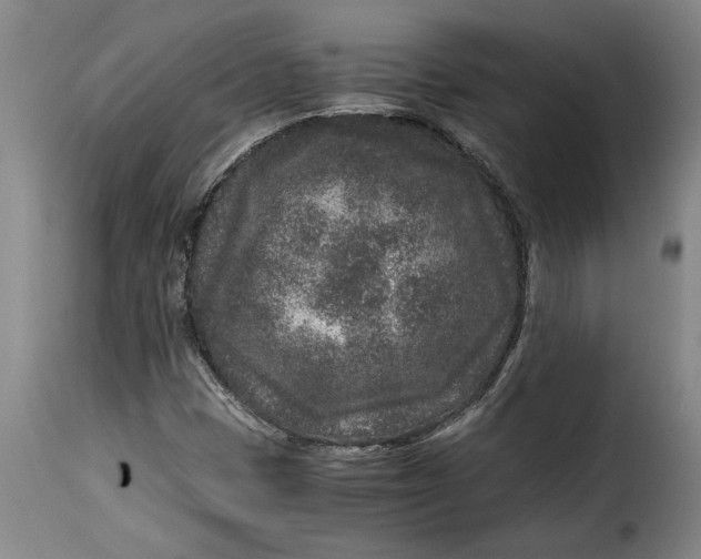 X0000115371401200911241229
