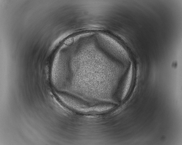 X0000115371402200911241229